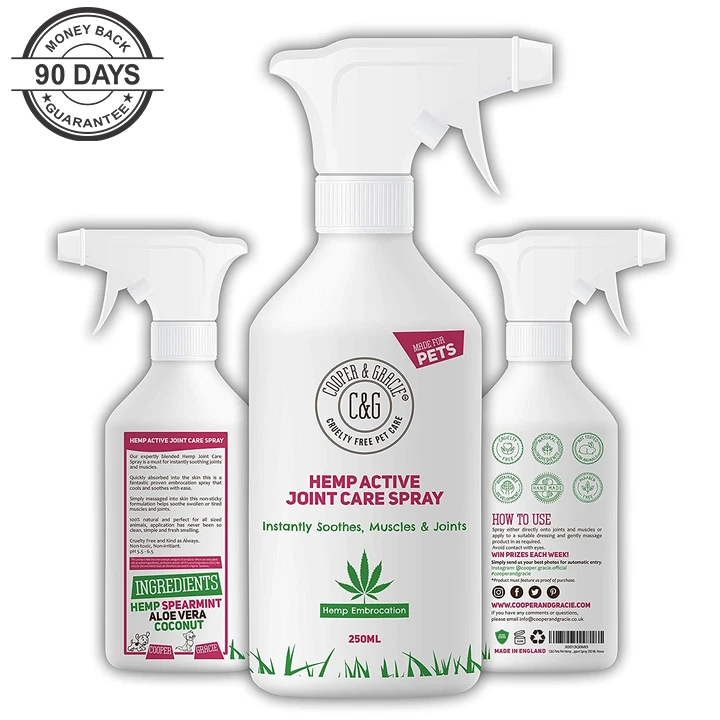 Hemp Active Joint Care Spray | Instantly soothes muscles & joints | Great for active pets 250ml